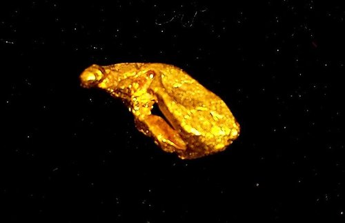 Gold nugget
